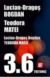 3.6 - Lucian Dragos Bogdan, Teodora Matei, 2020