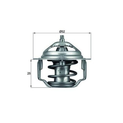 Mahle termostat, lichid racire Behr foto