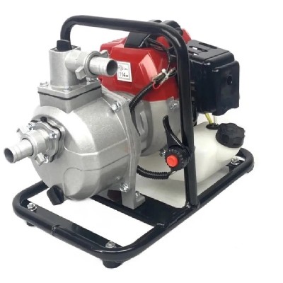 Pompa de apa cu motor in 2 timpi, 800l/h, 5.2CP, LXGWP1-43 foto