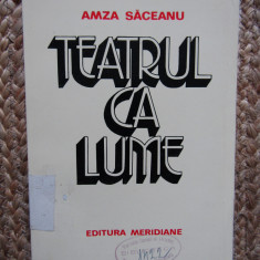 Amza Saceanu - Teatrul ca lume (1985)