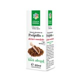 EXTRACT GLICERINAT DE PROPOLIS 20ML, SANTO RAPHAEL