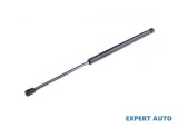 Amortizor haion Citroen C5 (2001-2004) [DC_] #1