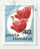 Romania, LP 893/1975, Flori de camp, 40 bani, eroare, obl.