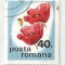 Romania, LP 893/1975, Flori de camp, 40 bani, eroare, obl.