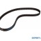 Curea distributie Volkswagen VW POLO (86C, 80) 1981-1994