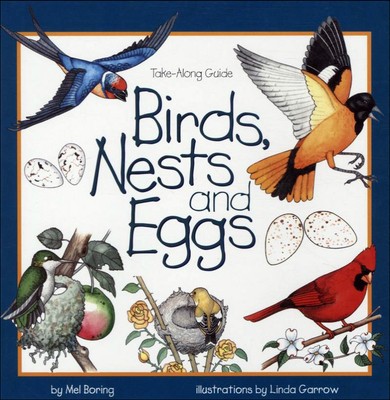 Birds, Nests, and Eggs foto
