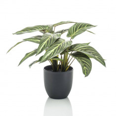 Emerald Plantă artificială Calathea "Zebrina", 38 cm, în ghiveci