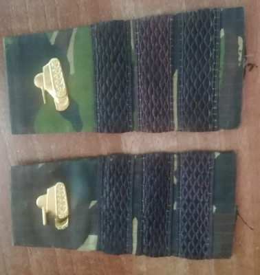 C3 - Grade militare - mozaic padure - plutonier adjutant tancuri foto