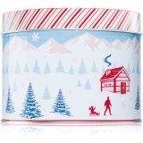 DW Home Scene &amp; Stripes Peppermint Bark lum&acirc;nare parfumată 833 g