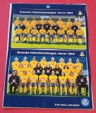 Lot 2 Foto fotbal - stickere - SUEDIA 2004 (Echipa Nationala Masculina si Feminina)