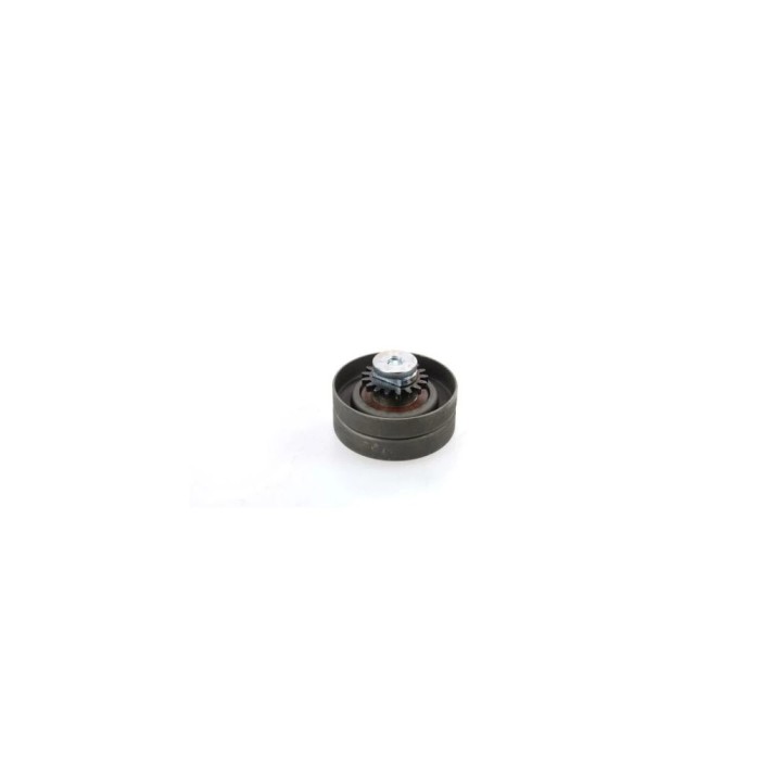 Intinzator curea RENAULT MEGANE Scenic JA0 1 DAYCO APV2008