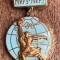QW9 N9 76 - Insigna - tematica pace