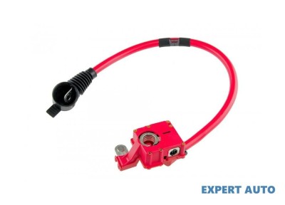 Capsa baterie plus + BMW Seria 7 (2008-&amp;gt;) [F01, F02, F03, F04] foto