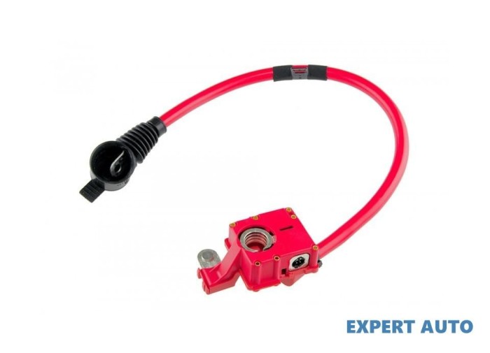 Capsa baterie plus + BMW Seria 7 (2008-&gt;) [F01, F02, F03, F04]