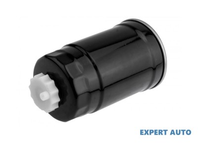 Filtru combustibil w Hyundai Accent 3 (2005-2010)[MC] #1 foto
