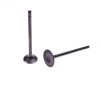 Set Supape Admisie Evacuare Cross 250 Zongshen, Lungime 89.5mm, Diametru Tija 5.5mm, Admisie 31.5mm, Evacuare 27mm