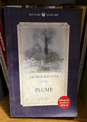 George Bacovia: plumb foto