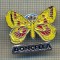 Y 521 INSIGNA - DONCELLA(DOMNISOARA) -SIMBOL FLUTURE - PENTRU COLECTIONARI