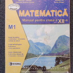 MATEMATICA MANUAL PENTRU CLASA A XII-A M1 - Ion, Campu, Ghioca