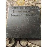 Medalii FRH 1964-1965