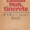 Ramas bun, tinerete - amintiri si confesiuni literare