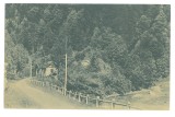 1526 - PETROSANI, Pasul Surduc, Valea Jiului, Romania - old postcard - unused