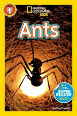 National Geographic Readers: Ants, Paperback/Melissa Stewart foto