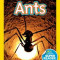 National Geographic Readers: Ants, Paperback/Melissa Stewart