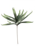 Cumpara ieftin Set 12 plante Aloe artificiala verde 40x80 cm