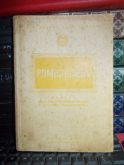 A. NEGRILA - POMICULTURA : TAIEREA POMILOR RODITORI , LIVADA DE POMI , 1952 foto