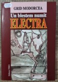 Un blestem numit Electra - Grid Modorcea