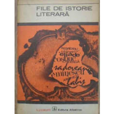 FILE DE ISTORIE LITERARA. EVOCARI-TEXT ALES DE I. OPRISAN