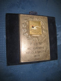 B120-I-Scoala de inot-Premiu de merit 1973 placheta.