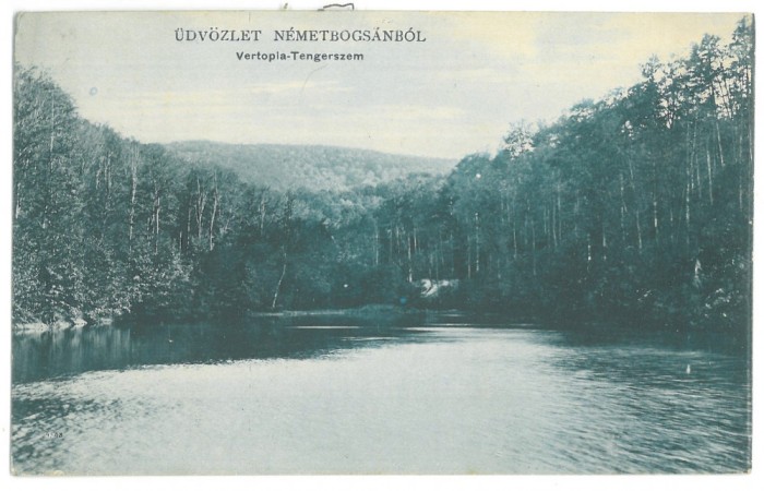 3166 - BOCSA MONTANA, Caras-Severin, Romania - old postcard - used - 1908
