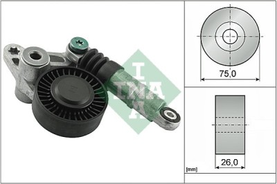 INA 534 0098 10 Intinzator curea, curea distributie foto