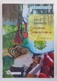 COZONAC. TRANSILVANIA , O CALATORIE de ADINA KENERES , 2015