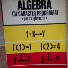 Dan Nica - Algebra cu caracter programat (editia 1978)