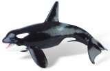 Balena Orca