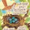 Outside Your Window: A First Book of Nature