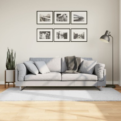 vidaXL Covor &amp;bdquo;OVIEDO&amp;rdquo;, fire scurte, gri, 100x200 cm foto