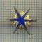 Y 462 INSIGNA -INTERESANTA -PENTRU COLECTIONARI