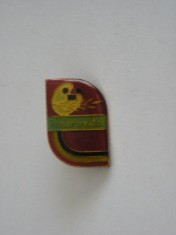 QW9 J 75 - Insigna - tematica pionieri - Pionier creator