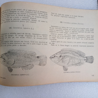 ATLASUL PESTILOR DIN APELE R.P.R.-TH.BUSNITA-1962 Z1 foto