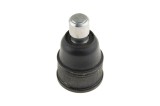Rotula brat suspensie Mazda 626 Ge, Gf, Gv, Gw 1991-, 323 Bj 1998-, Premacy 1999-, Tribute 2001-, Kia Clarus 1996-2001, Fata, Inferior, NTY ZSD-MZ-00