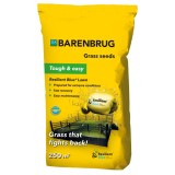Seminte de Gazon Barenbrug Resilient Blue Lawn