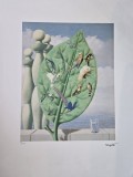 Rene Magritte - Le regard interieur, litografie originala