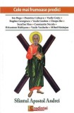 Sf&Atilde;&cent;ntul Apostol Andrei. Cele mai frumoase predici - Paperback brosat - Pr. Prof. Ion Buga - Lumea credin&Aring;&pound;ei