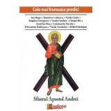 Sf&Atilde;&cent;ntul Apostol Andrei. Cele mai frumoase predici - Paperback brosat - Pr. Prof. Ion Buga - Lumea credin&Aring;&pound;ei