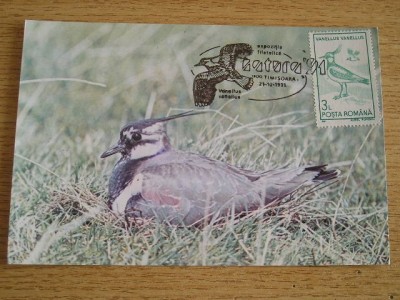 C12 - maxima Romania - tematica pasari 34 - prima zi a emisiunii sau expozitii foto