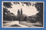 Carte Postala Romania Dolj Craiova - Parcul Romanescu
